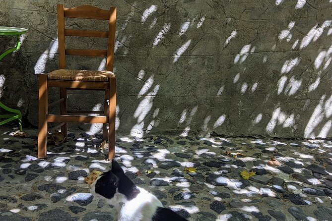 Santorini Classic Highlights and Sightseeing Private Tour - Pyrgos: The Highest Point and Monastery of Prophet Elijah