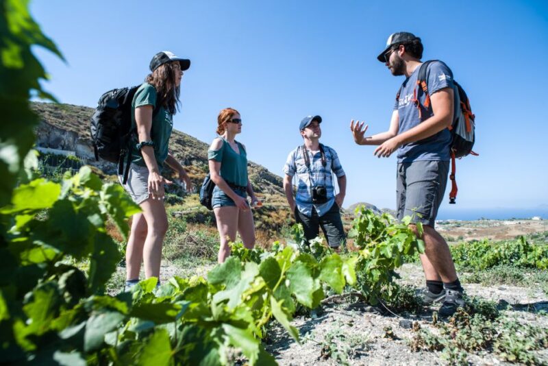 Santorini: Cooking Class and Easy Hike - The Role of Guides: Knowledgeable and Friendly