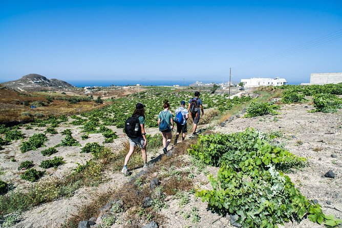 Santorini : Cooking Class & Easy Hike - Relaxing Swim and Sunbathing at Mesa Pigadia Beach