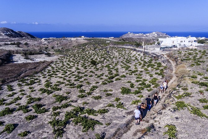 Santorini : Cooking Class & Easy Hike - Santorini: Cooking Class & Easy Hike – Final Thoughts