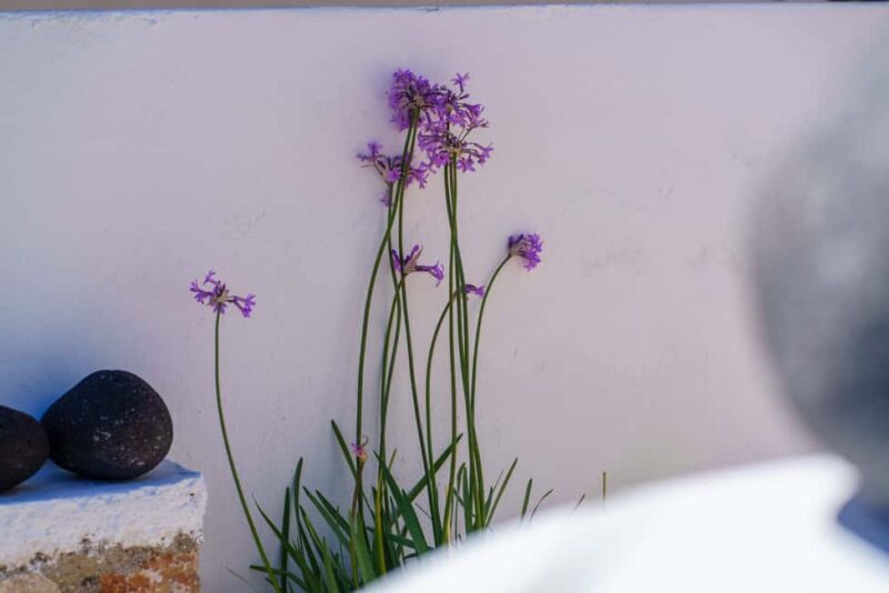 Santorini: Customized Private Guided Tour in a Mercedes EQB - Witness the Magic of Santorini’s Sunset in Oia