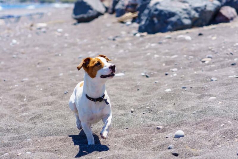 Santorini: Customized Private Guided Tour in a Mercedes EQB - The Value of a Fully Private, Tailored Experience