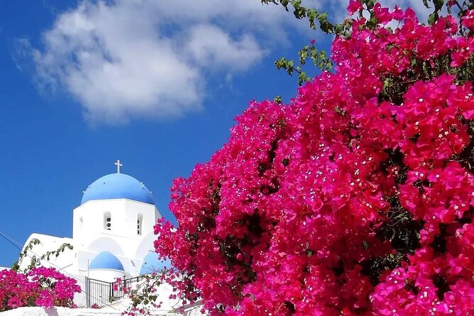 Santorini Delights: A Cruise Passenger's Dream Day - Discover Santorini in a 5-Hour Shore Excursion