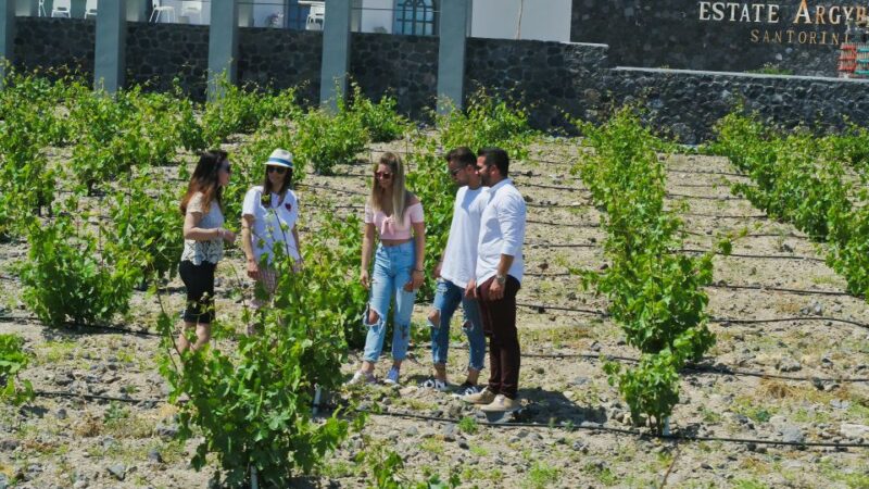 Santorini: Explore Southern Part with Wine Tasting - Stroll Through Megalochori’s Historic Streets