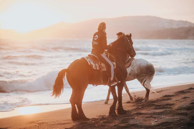 Santorini: Extreme Horse Safari with Beach Gallop - Exploring Ancient Trails and Cliff-Top Vistas