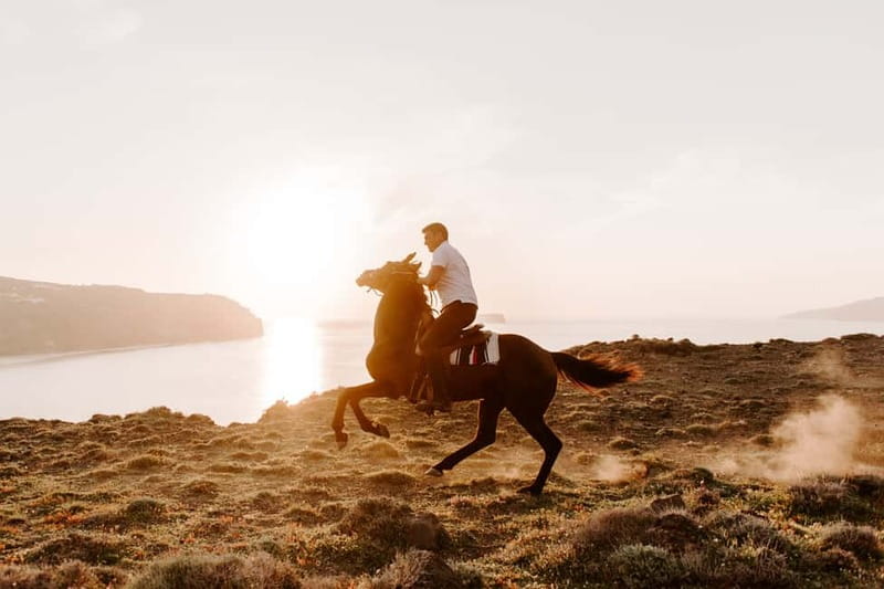 Santorini: Extreme Horse Safari with Beach Gallop - Logistics and Meeting Arrangements