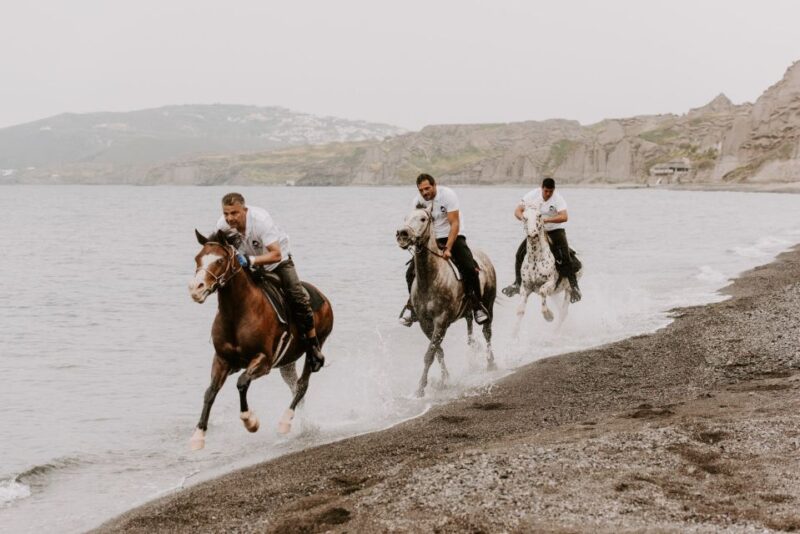 Santorini: Extreme Horse Safari with Beach Gallop - Who Should Consider This Tour