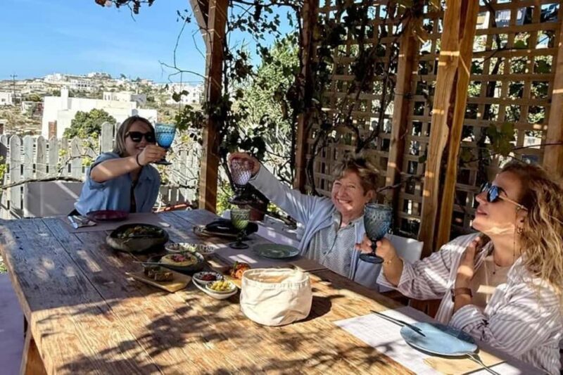 Santorini: Farm Visit With Lunch and Village Tour - Key Points