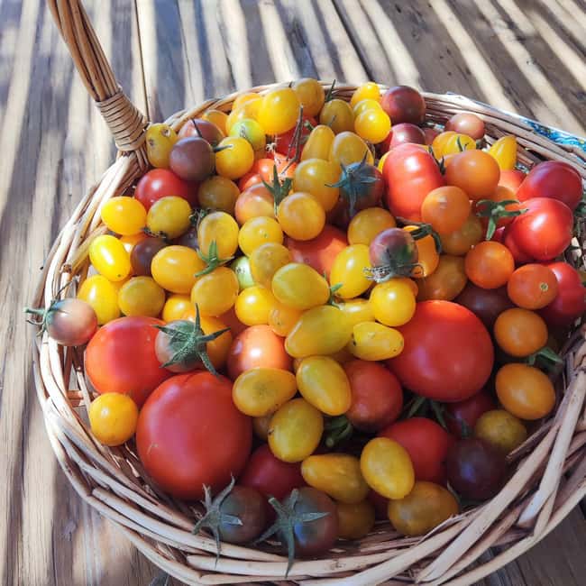 Santorini: Farm Visit With Lunch and Village Tour - Discovering Emporio’s Historic Architecture