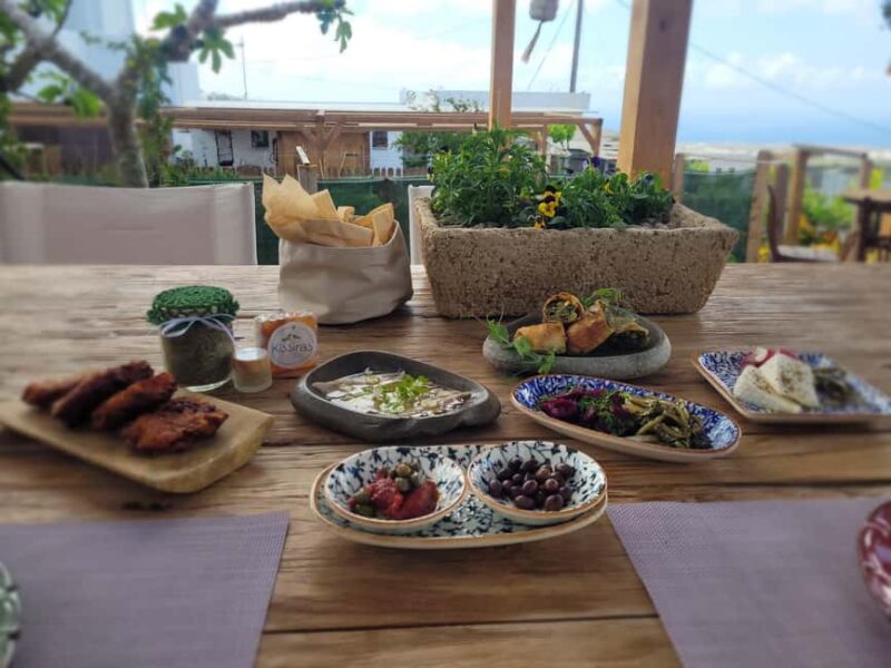 Santorini: Farm Visit With Lunch and Village Tour - Practicalities: Logistics and Group Size