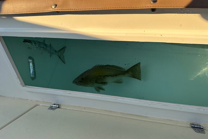 Santorini Fishing Private Cruise boat tour - BBQ, Snorkeling - Why Choose This Santorini Fishing Private Cruise