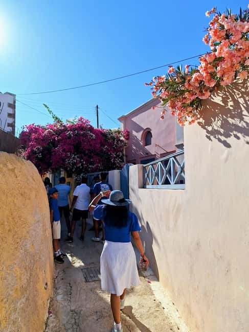 Santorini: From Reel to Real  Private Tour of Hidden Gems - Wine Tasting at Santorini Wineries