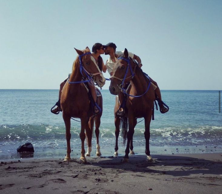 Santorini Fun day: Horseriding- Wine Tasting - Tapas - Tasting Greek Flavors with Tapas and Additional Wines