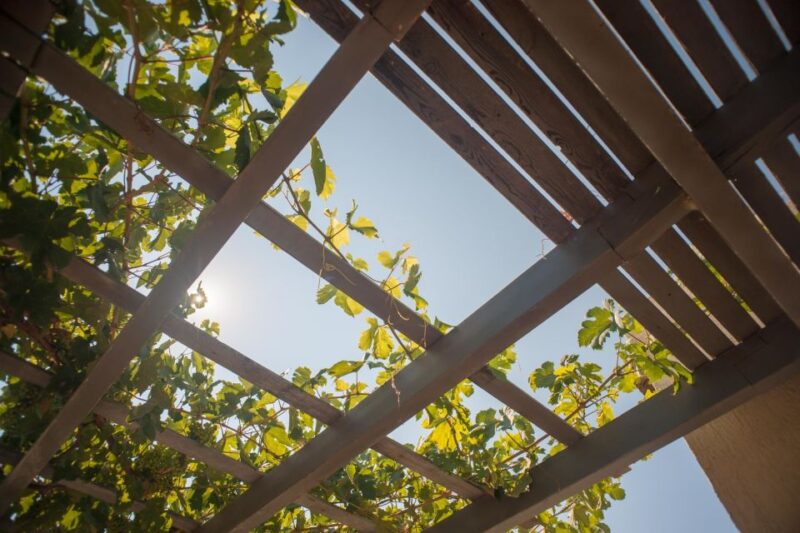 Santorini: Greek Food & Wine Tasting Tour - Key Points