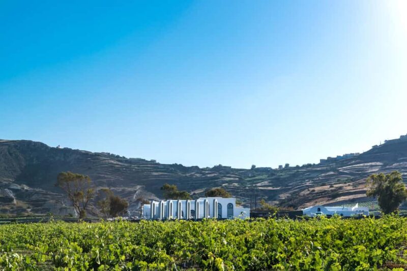 Santorini: Guided Wine Tour with Pickup and Snacks - The Wineries Visited and Their Highlights