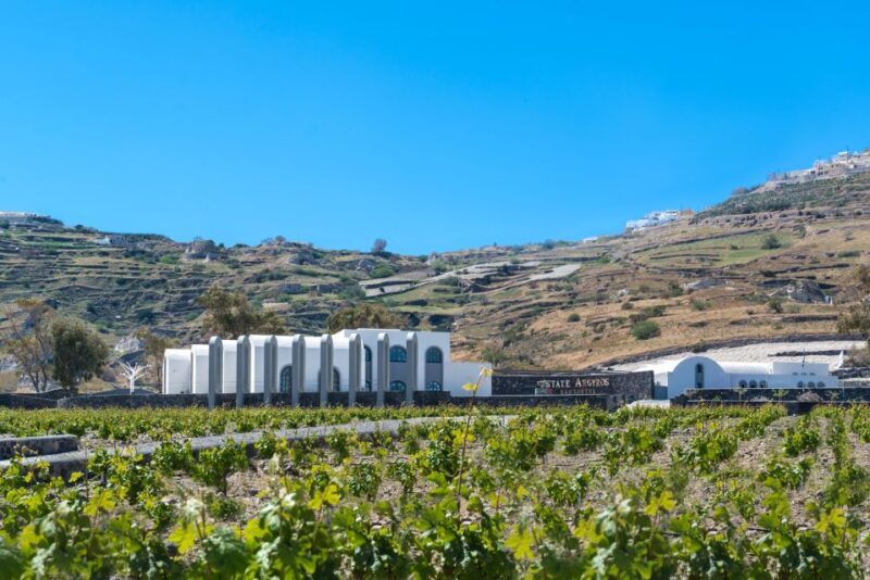 Santorini: Guided Wineries Private Tour with Wine Tastings - How Transportation and Group Size Enhance the Experience