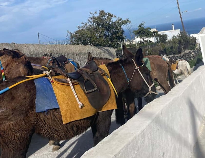 Santorini: Half-Day Island Tour with Snacks and Drinks - Logistics: Pickup, Group Size, and Practical Tips