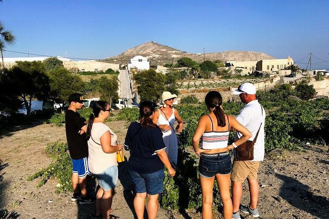 Santorini Half Day Wine Tasting & Winery Tour with Pickup - The Convenience of Private Transport and Expert Guidance
