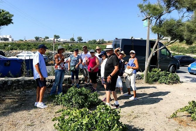 Santorini Half Day Wine Tasting & Winery Tour with Pickup - Sunset Views and Scenic Photo Stops