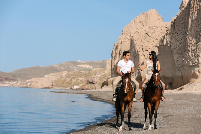 Santorini: Horse riding to the Black Sandy Beach (Eros beach) - The Horses: Calm, Well-Trained, and Friendly