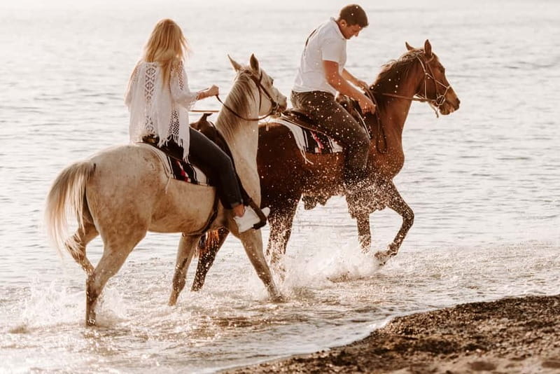 Santorini: Horseback Riding on the Black Sandy Eros Beach - Expert Guides and Friendly Service
