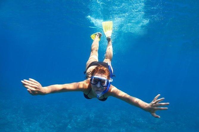 Santorini Luxury Catamaran Day Cruise with BBQ,drinks,transfer - Comfort and Amenities on Board