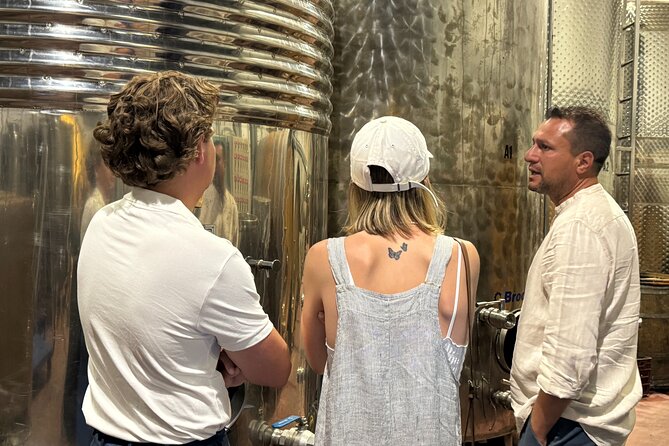 Santorini Mini Wine Tasting Tour at 2 Wineries - Visiting Gavalas Winery in Megalochori