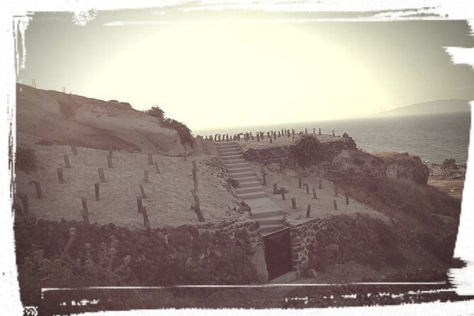 Santorini: Private Agri-Educational Visit to an Organic Farm - Visiting the Organic Black Raisin Vineyard in Santorini