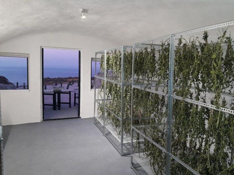 Santorini: Private Agri-Educational Visit to an Organic Farm - Key Points