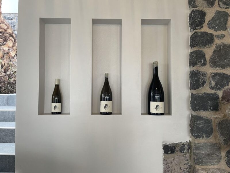 Santorini Private Daytime Wine Tour with Certified Sommelier - The Experience: Tasting Volcanic Wines in Santorinis Scenic Vineyards