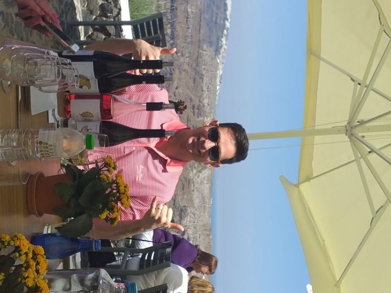 Santorini: Private Exclusive Tour with a Local Guide - The Comfort and Convenience of a Private Mercedes-Benz Vehicle