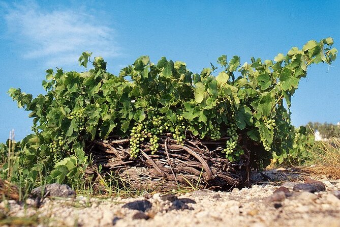 Santorini Private Highlights Tour & Wine Tasting with local guide - Discover Santorini’s Most Photogenic Beaches: Red Beach and Perissa