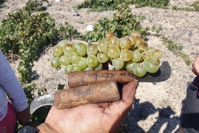 Santorini Private Highlights Tour & Wine Tasting with local guide - Iconic Views at the Three Bells of Fira