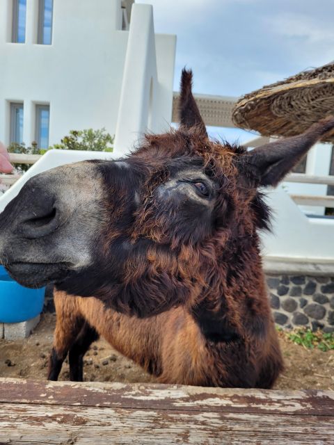 Santorini: Private Island Tour - Discover the Charm of Pyrgos Village