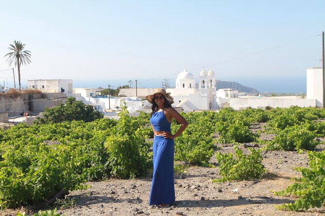 Santorini Private Sightseeing Tour - Practical Logistics and Flexibility