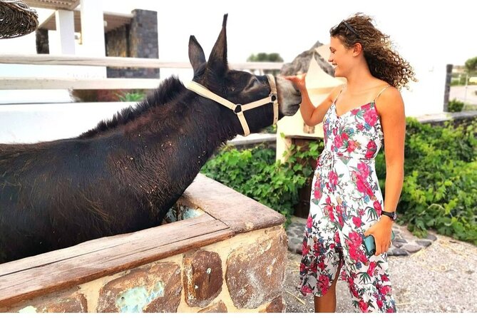 Santorini Private Tour 5hours Wine and local product tasting - Savoring Organic Products and Wine at Akrotiri