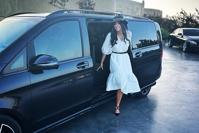 Santorini Private Tour - Colors of Santorini - Stepping Back in Time at Akrotiri Archaeological Site