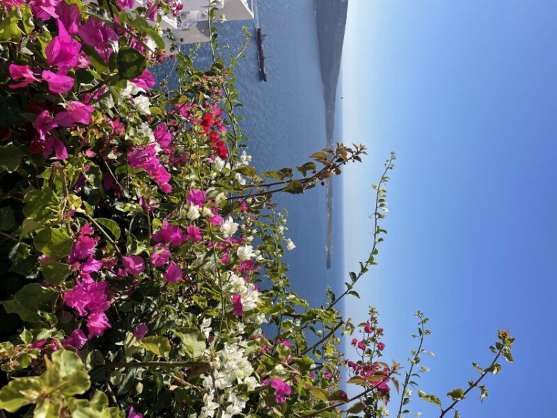 Santorini: Private Tour of the Famous Blue Domes and Caldera - Convenient Pickup and Meeting Points for a Smooth Start