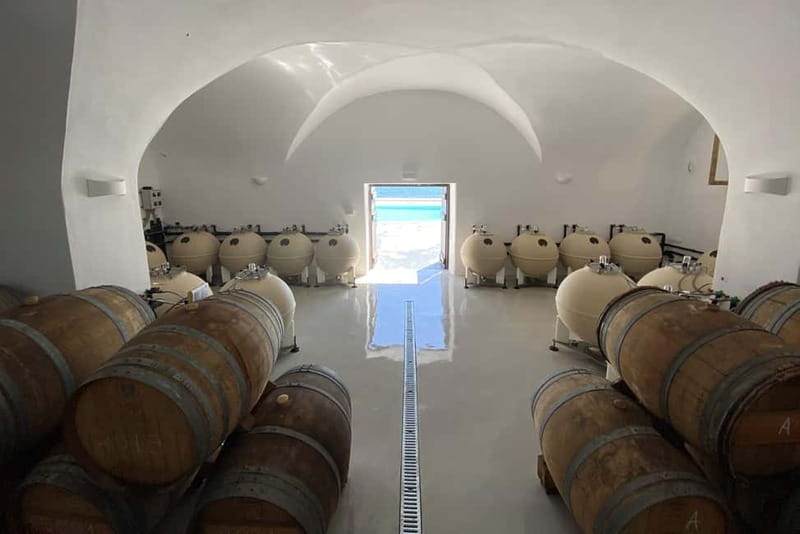 Santorini Private Wine Exprerience: 3 Wineries &Local Snacks - First Stop: Koutsogiannopoulos Wine Museum’s Cave Display