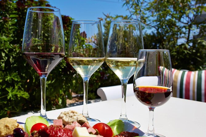 Santorini Private Wine Tasting Experience with private sommelier - The Experience of the Guides: Warm, Knowledgeable, and Entertaining