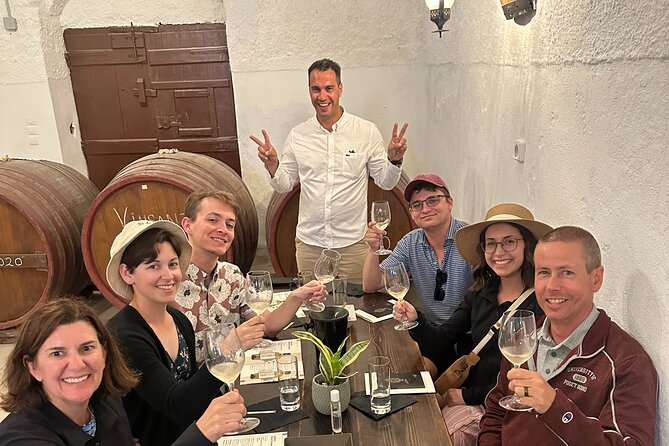 Santorini Private Wine Tasting Tour: Up to 4 Wineries & Lunch - Gaia Winery: Coastal Relaxation and Red Varietals