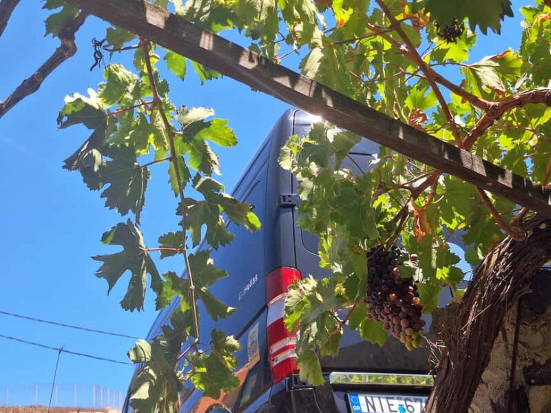 Santorini Private Wine Tour with Local Expert & Sunset - Exclusive Wine Tastings: Assyrtiko, Nykteri, and Vinsanto