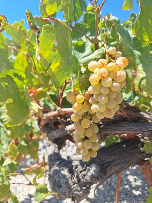 Santorini Private Wine Tour with Local Expert & Sunset - Optional Add-On: Local Brewery Visit