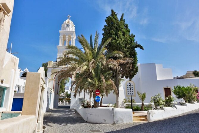 Santorini Shore Excursion in Style- by the Katsipis Family - Discovering Megalochori’s Tranquil Charm and Local Cuisine