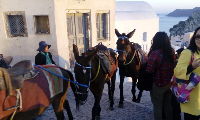Santorini: Small-Group Highlights Tour of Venetian Castles - Practical Details and Logistics