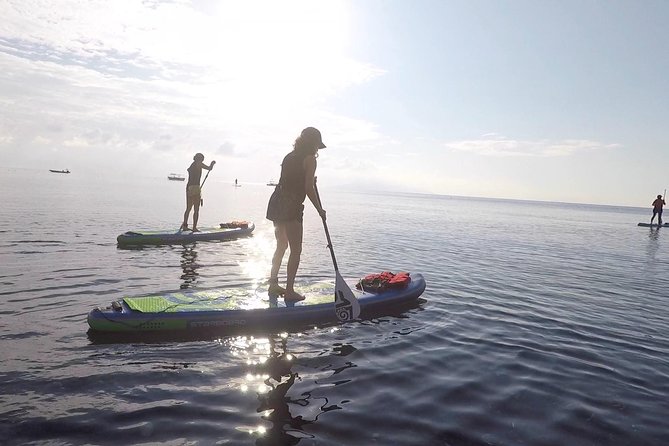 Santorini Stand-Up Paddle and Snorkel Adventure - The Paddleboarding Experience: Exploring Cliff-Lined Shores and Remote Spots