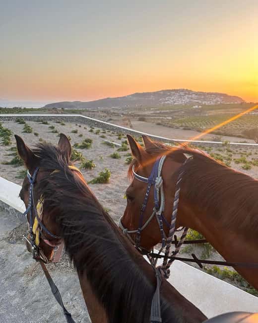 Santorini: Sunset Horse Riding Tour with Professional Photos - Key Points