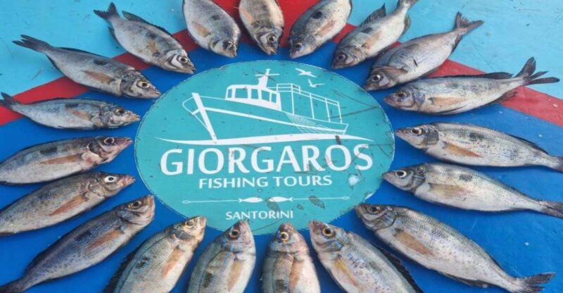 Santorini: Traditional Fishing Trip and Fresh Fish Lunch - Key Points