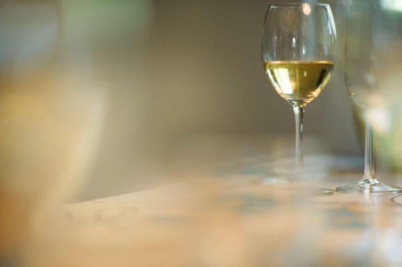 Santorini: Vegan Wine Tasting Private Tour - Accessibility and Practical Tips