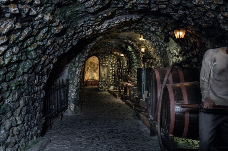 Santorini Visit Cave Wine museum and Wine tasting - Quality and Service: What Visitors Appreciate